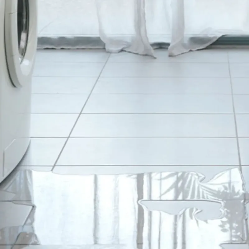 Appliance Leak Cleanup in Lighthouse Point, FL